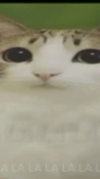 ai character: grf background