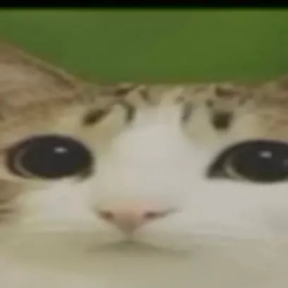 chat with ai character: grf