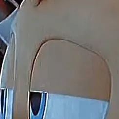 chat with ai character: Nine