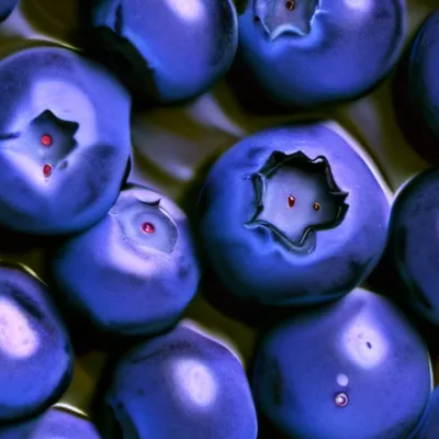 chat with ai character: Bluberry
