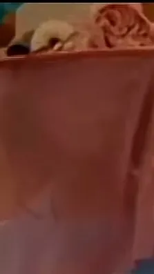 ai character: Nope background