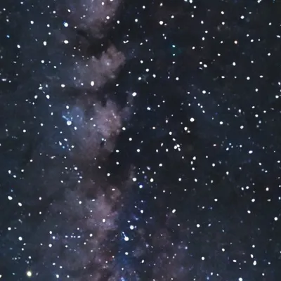 chat with ai character: |Y/n -  S2|