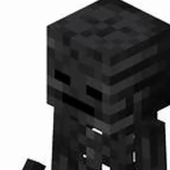 chat with ai character: wither skeleton 💀💀