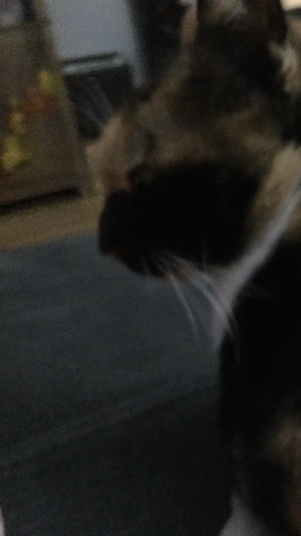 ai character: Nugget background