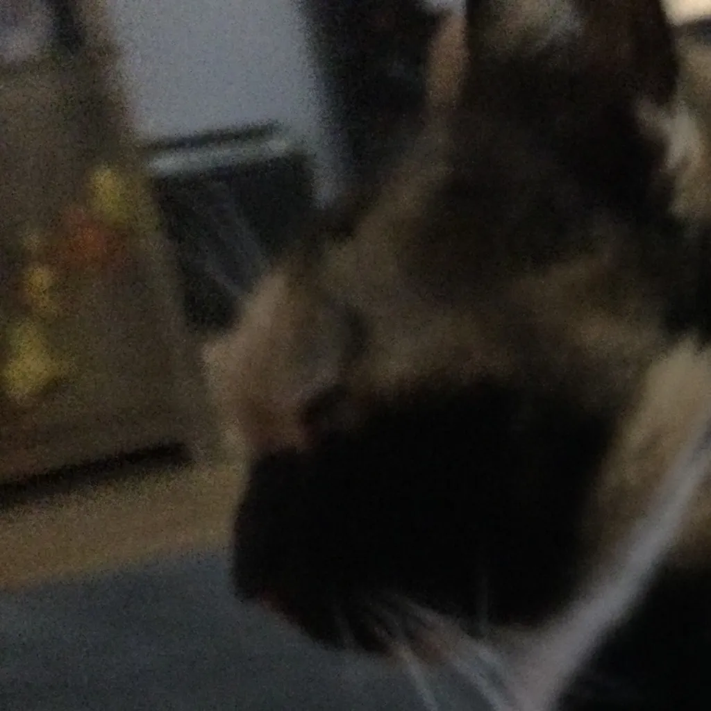 chat with ai character: Nugget