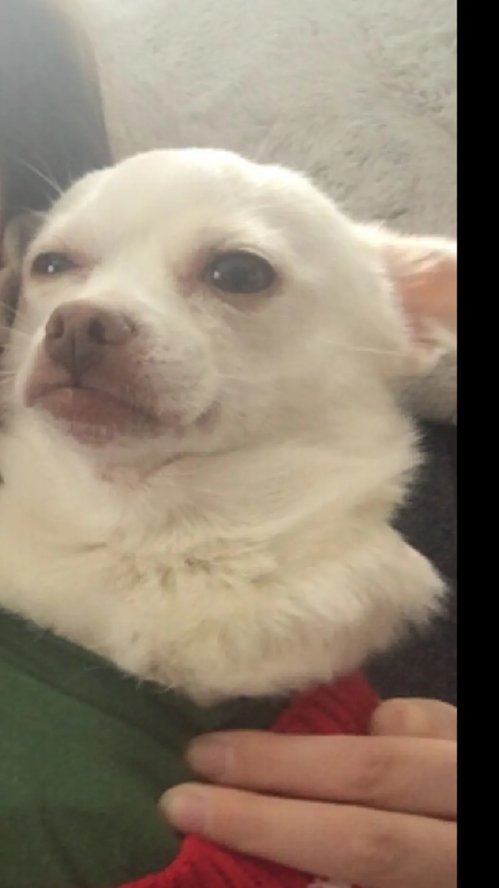 ai character: Princess background