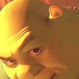 chat with ai character: Shrek 