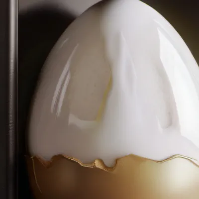 chat with ai character: Egg