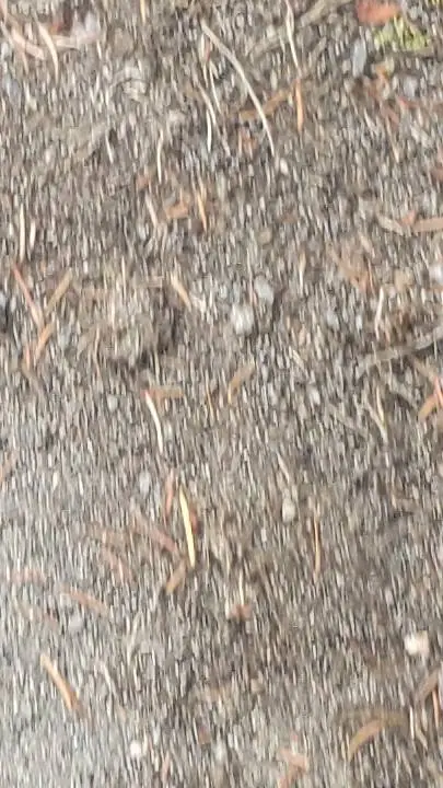 ai character: HH desert trip background