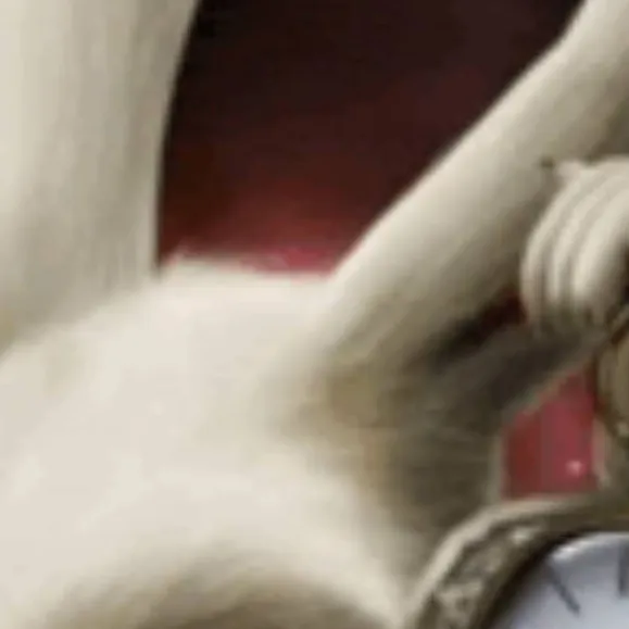 chat with ai character: time is ticking.