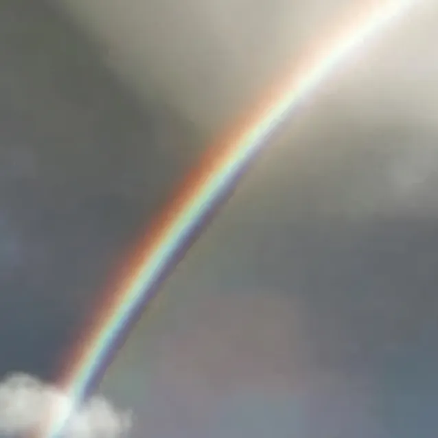 chat with ai character: ROCKY BUT SICK