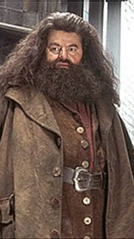 ai character: Hagrid background