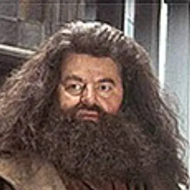 chat with ai character: Hagrid