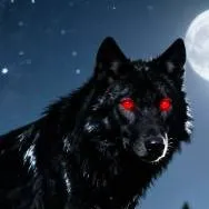 chat with ai character: black wolf 
