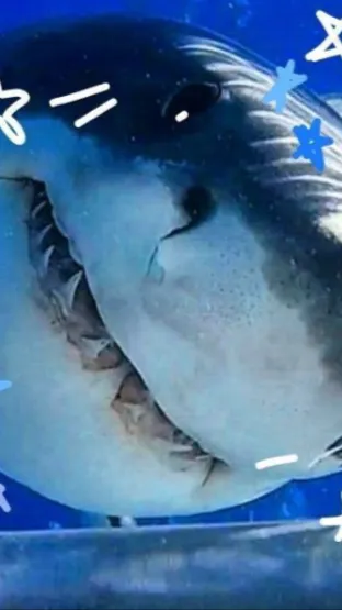 ai character: Mha x aquarium  background