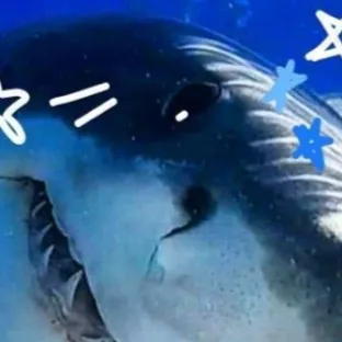 chat with ai character: Mha x aquarium 