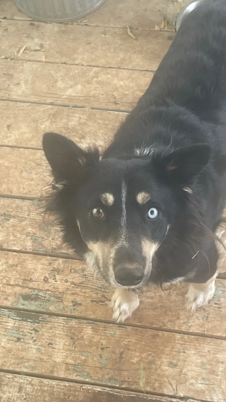 ai character: Callofduty x biker background