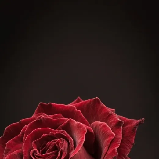 chat with ai character: Ruby "Red" Dark