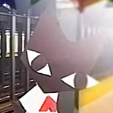 chat with ai character: PimPom