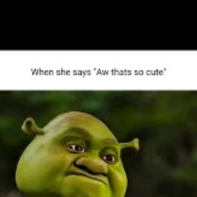 chat with ai character: shrek mushroom 