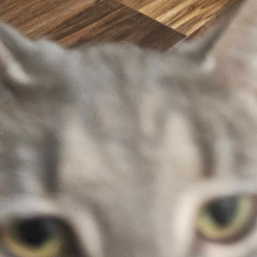 chat with ai character: My cat :>