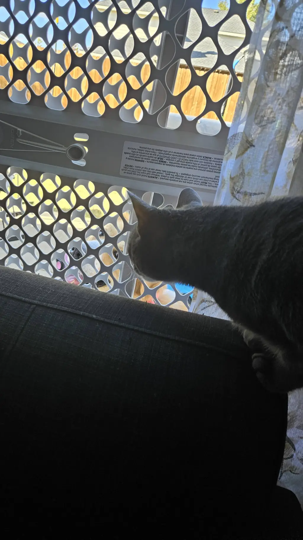 ai character: you like jazz? background