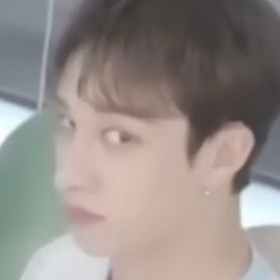 chat with ai character: Bangchan+ Y/N