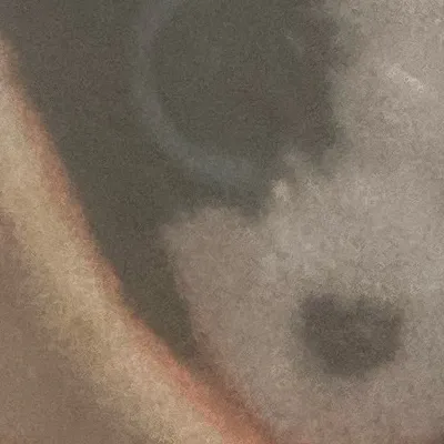 chat with ai character: Sweetdog (realpic)