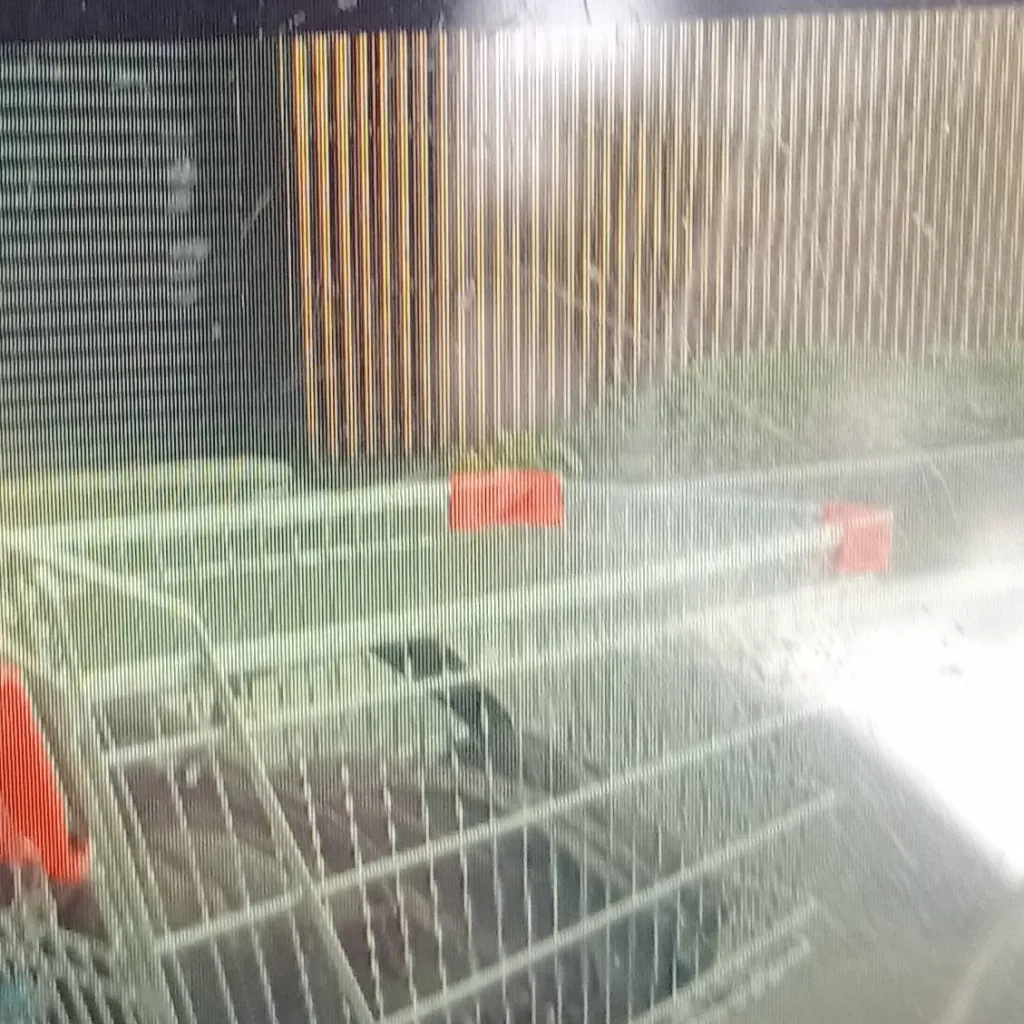 chat with ai character: !!!Anything!!!