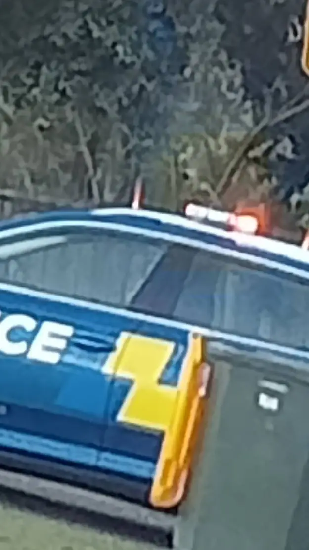 ai character: ///Anything\\\ background