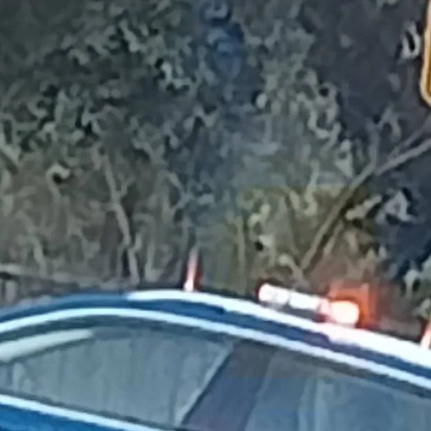 chat with ai character: ///Anything\\\