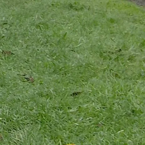 chat with ai character: • Anything •