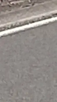 ai character: ||| Anything ||| background