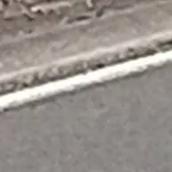 chat with ai character: ||| Anything |||