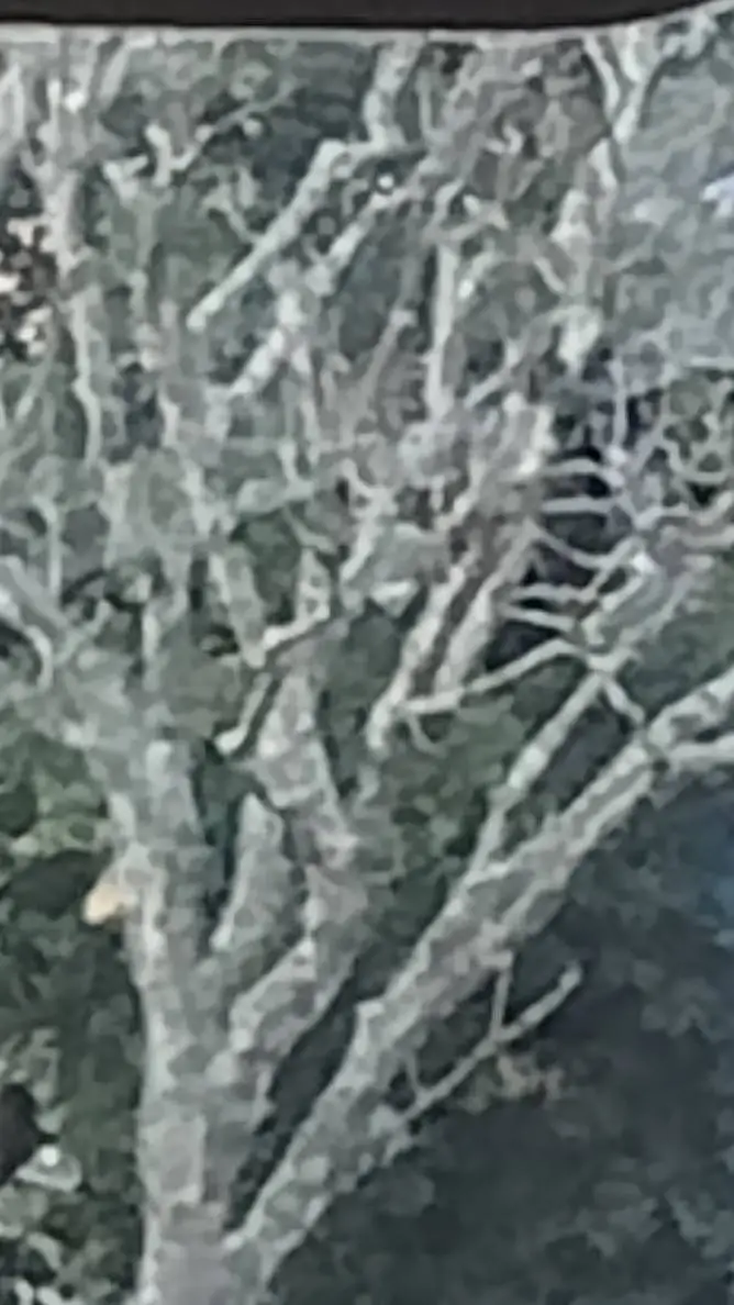 ai character: 0• Anything •0 background