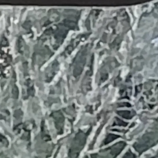 chat with ai character: 0• Anything •0