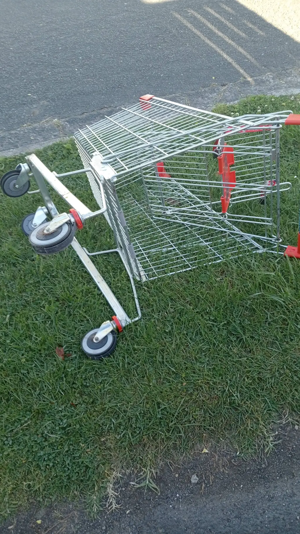 ai character: ---Anything--- background