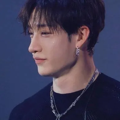 chat with ai character: Bang chan