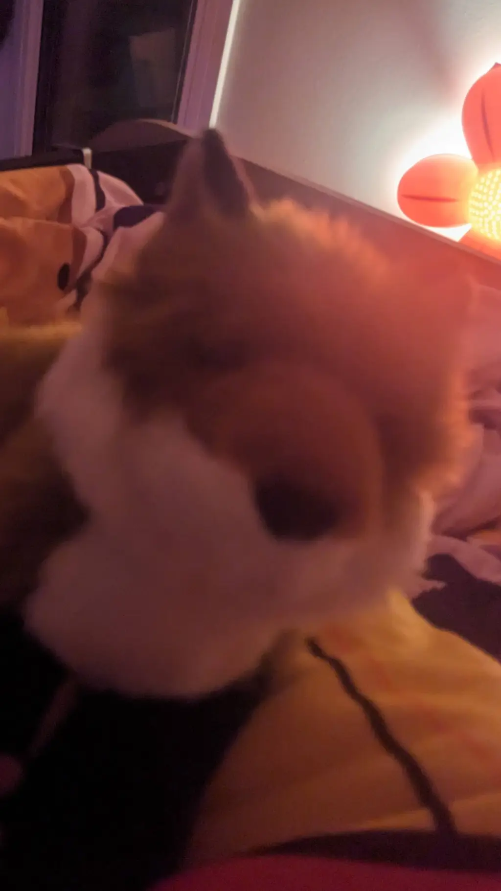 ai character: crunchy the ESSA background