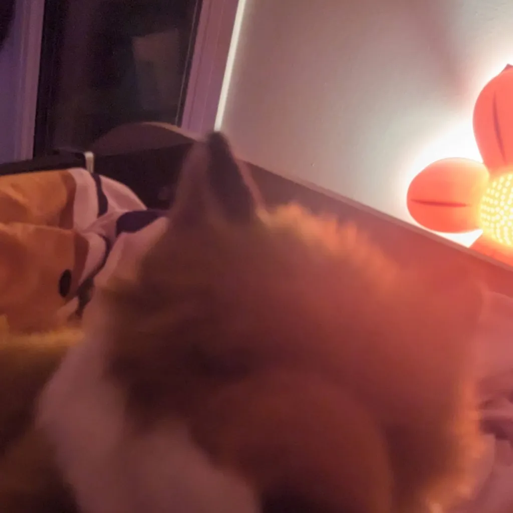 chat with ai character: crunchy the ESSA