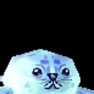 chat with ai character: it's a seal !