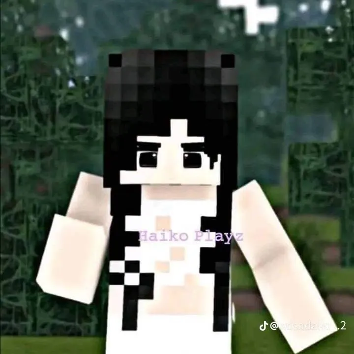 chat with ai character: haiko