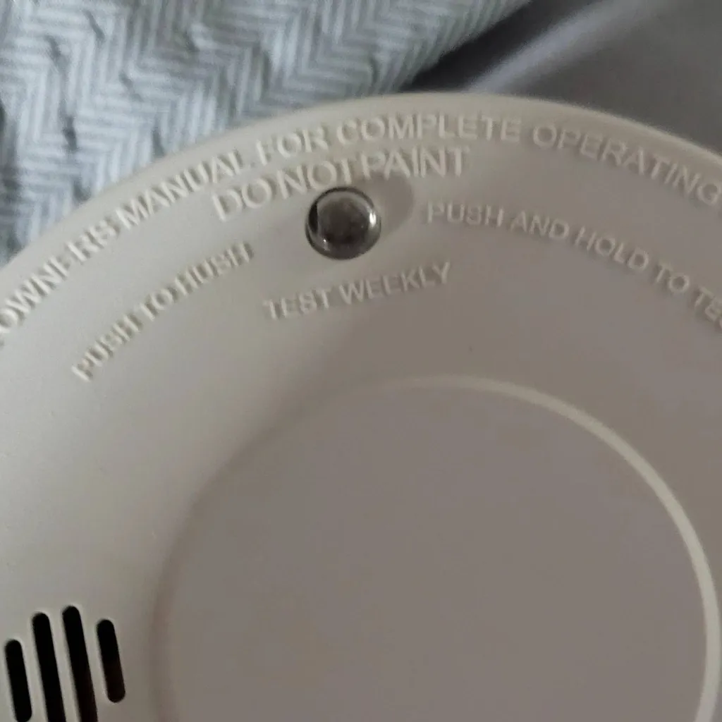 chat with ai character: smoke detector fam