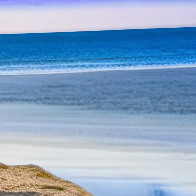 chat with ai character: Dandys world beach