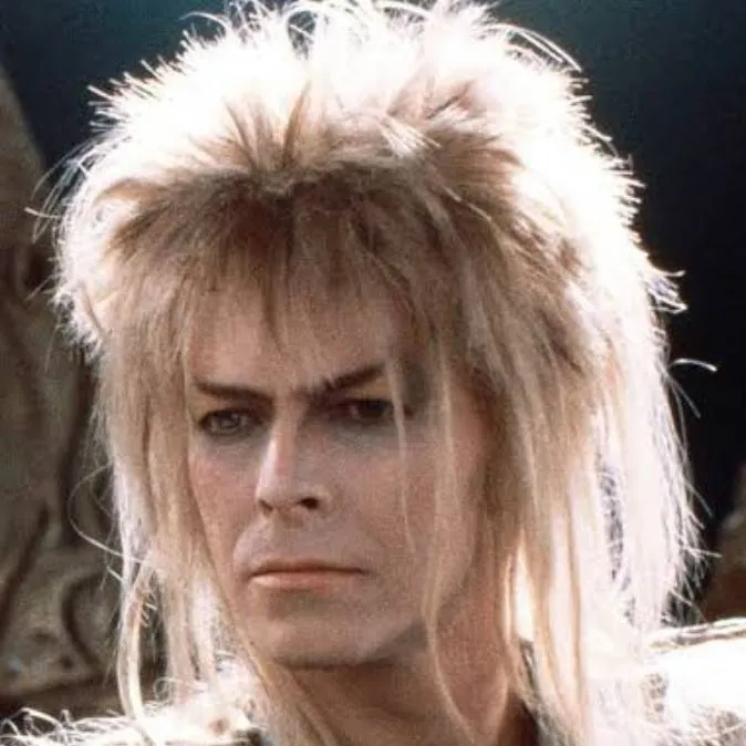 chat with ai character: Jareth