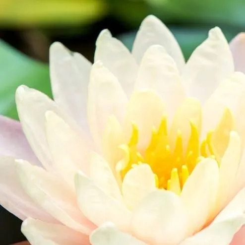 chat with ai character: stranger things