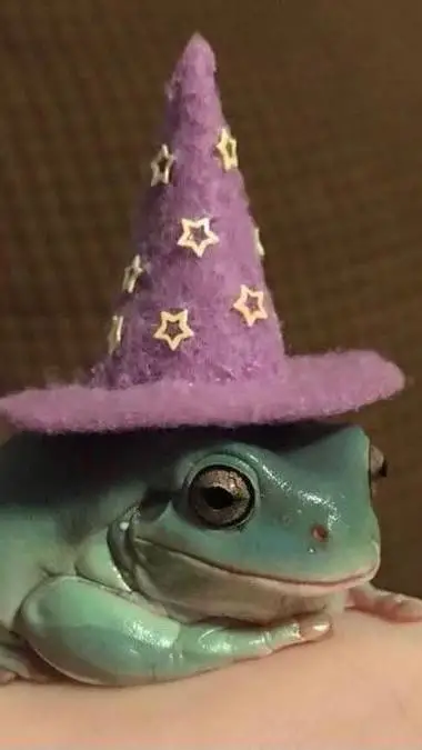 ai character: Froggy background