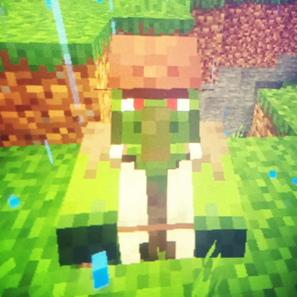 chat with ai character: Zombie Villager