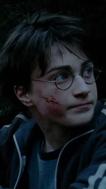 ai character: Harry Potter background