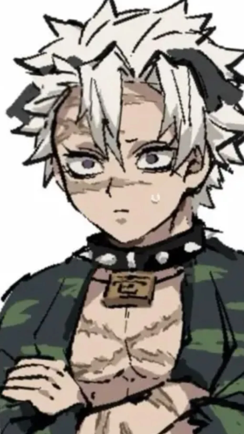 ai character: Sanemi shinazgawa background